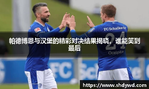 帕德博恩与汉堡的精彩对决结果揭晓，谁能笑到最后